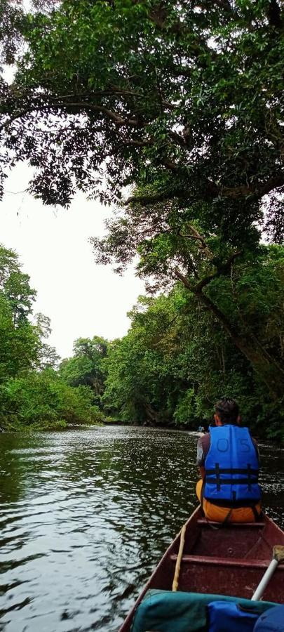 Belebar Studio Room Taman Negara Pahang Malaysia Kuala Tahan Dış mekan fotoğraf