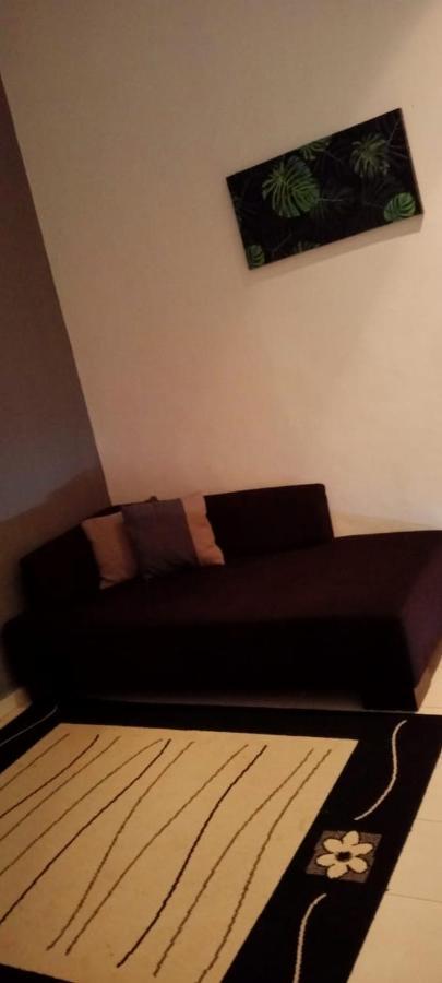 Belebar Studio Room Taman Negara Pahang Malaysia Kuala Tahan Dış mekan fotoğraf